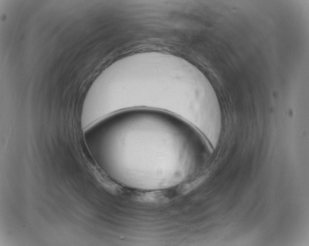 X0000084520382200702231141