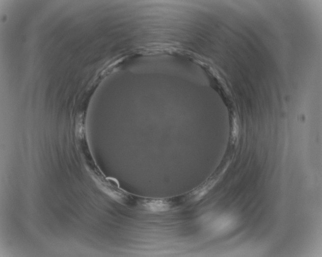 X0000084520383200702231141