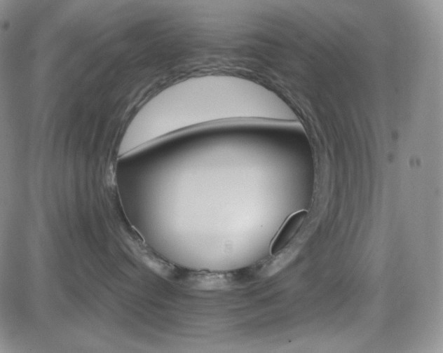 X0000084520384200702231141