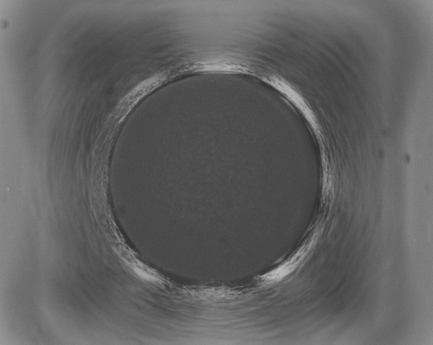 X0000084520385200702231140