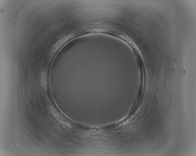 X0000084520386200702231140