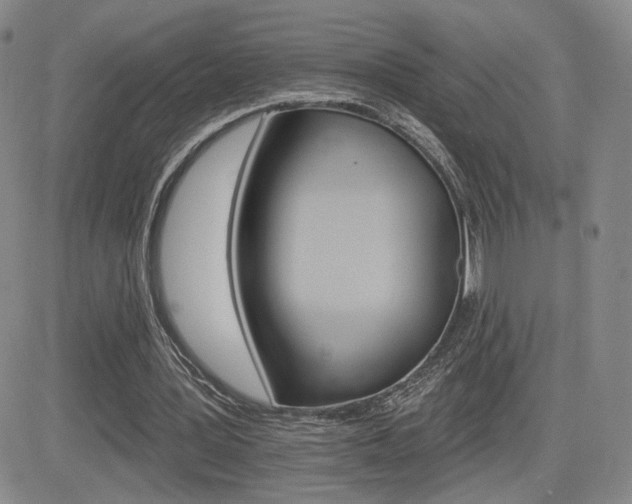 X0000084520387200702231140