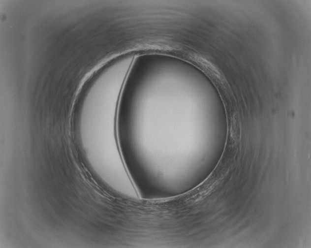 X0000084520388200702231140