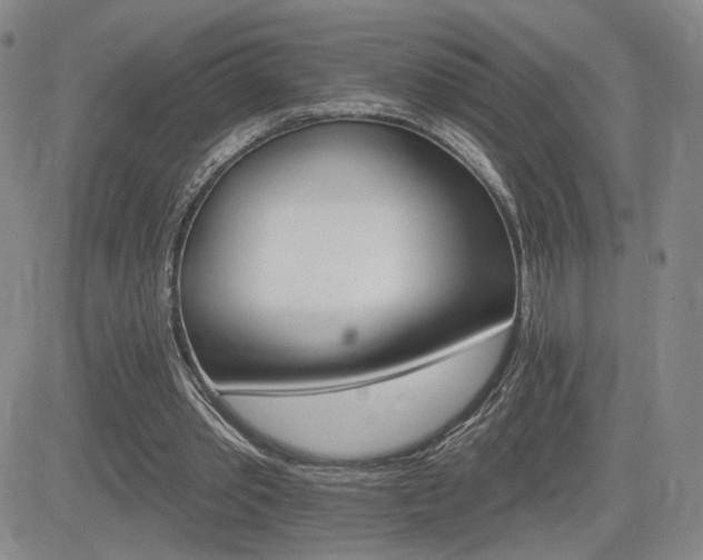 X0000084520389200702231140