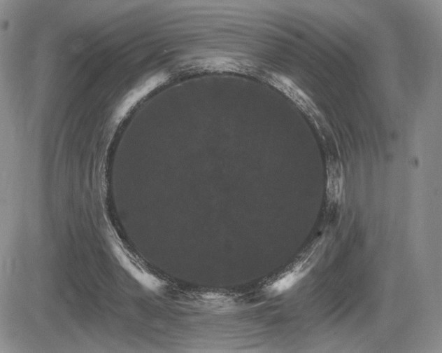 X0000084520390200702231140