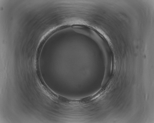 X0000084520391200702231140