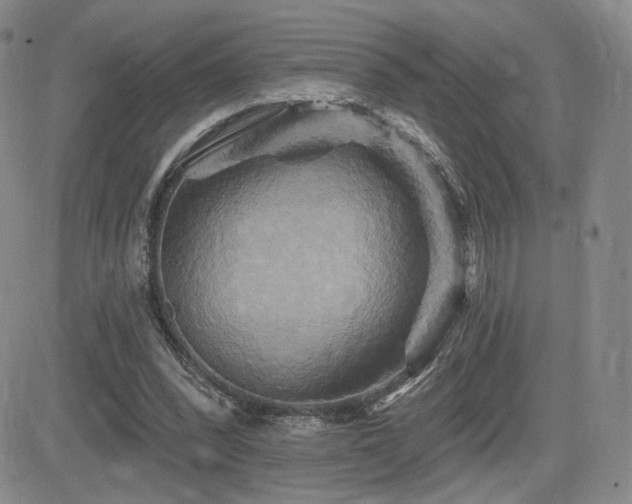 X0000084520392200702231140