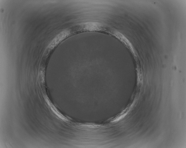 X0000084520393200702231140