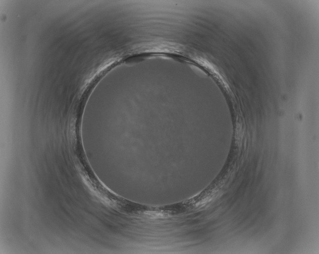 X0000084520394200702231140