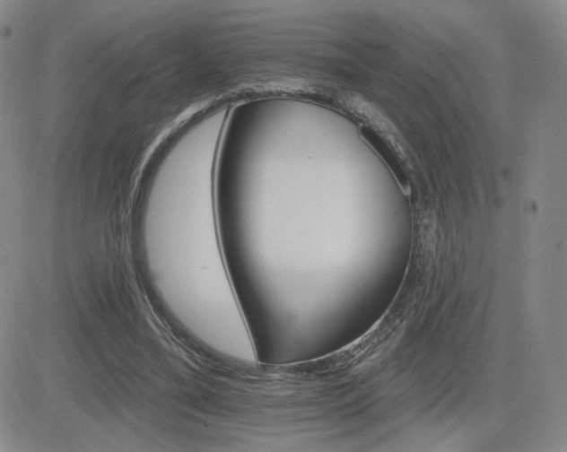 X0000084520395200702231140