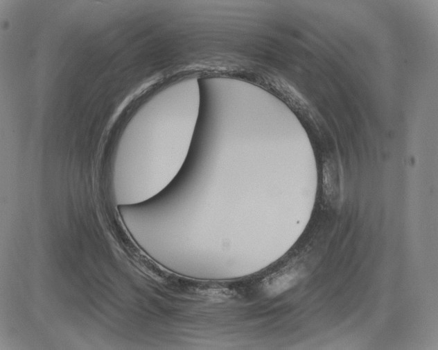 X0000084520396200702231140