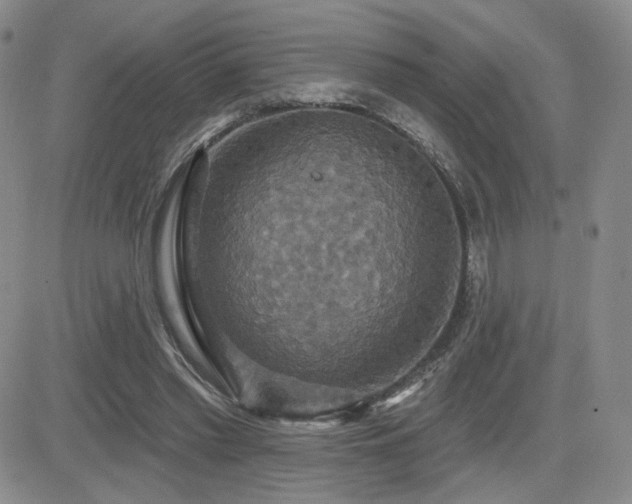 X0000084520397200702231140