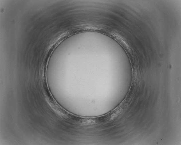 X0000084520398200702231140