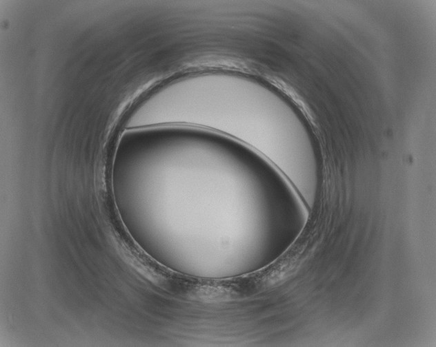 X0000084520399200702231140