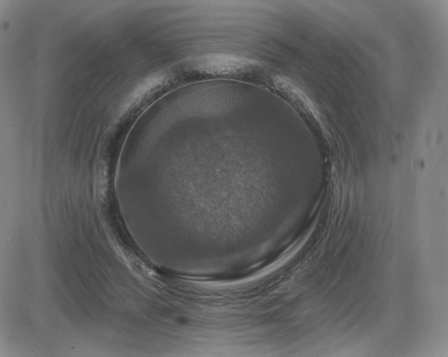 X0000084520400200702231140