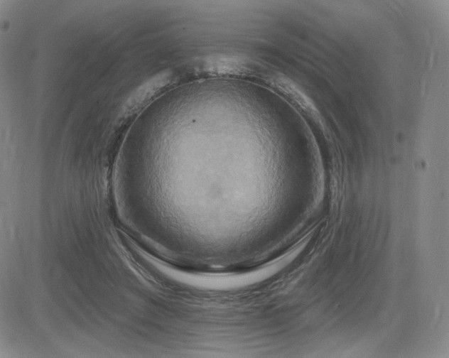 X0000084520401200702231140