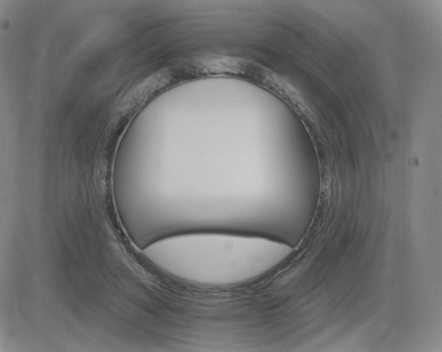 X0000084520402200702231140