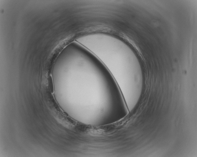 X0000084520403200702231140