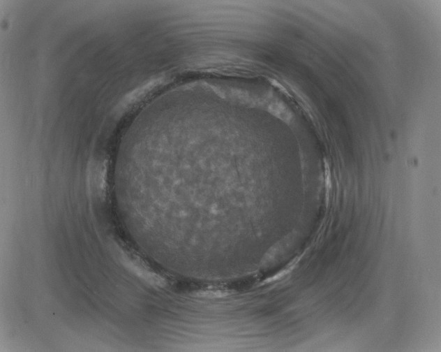 X0000084520404200702231140