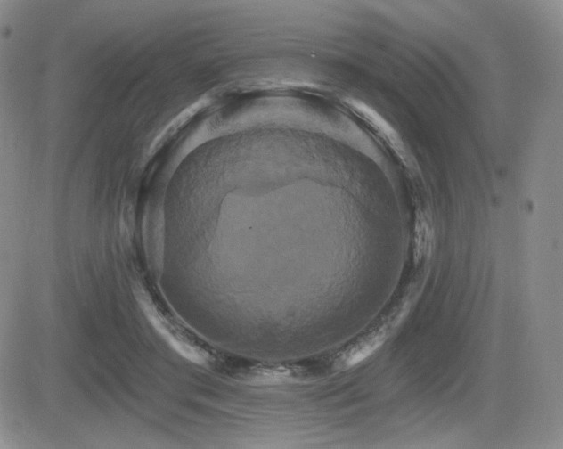 X0000084520405200702231140