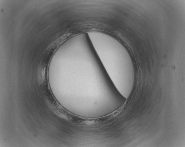 X0000084520406200702231140