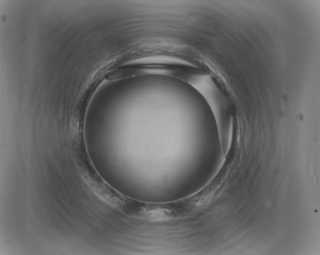 X0000084520407200702231140