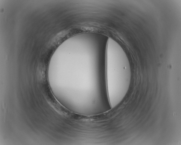 X0000084520408200702231140