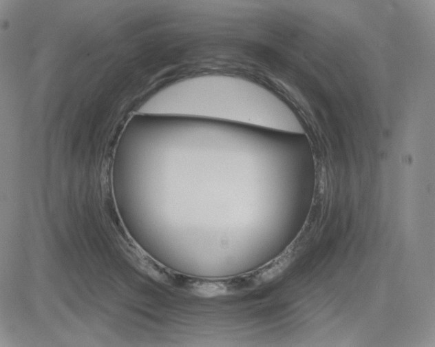 X0000084520409200702231140