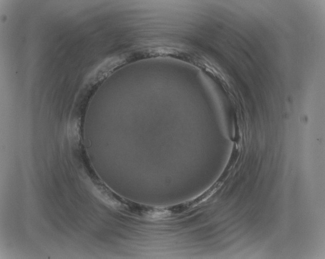 X0000084520410200702231140