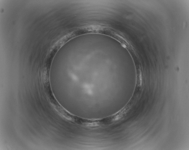 X0000084520411200702231140