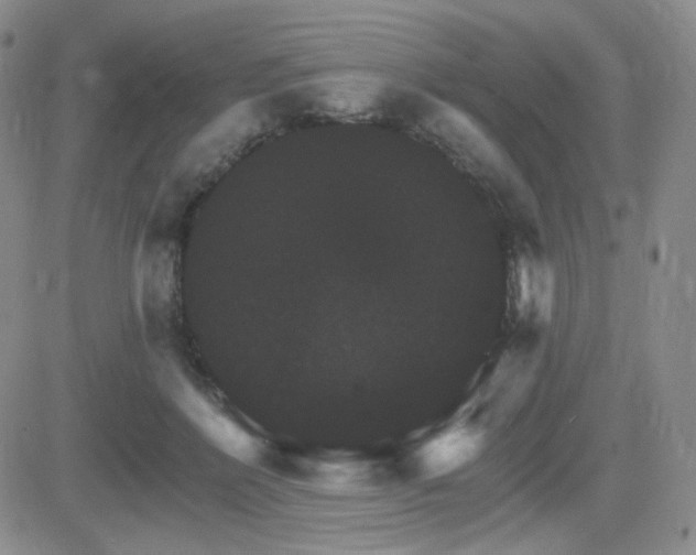 X0000084520412200702231140