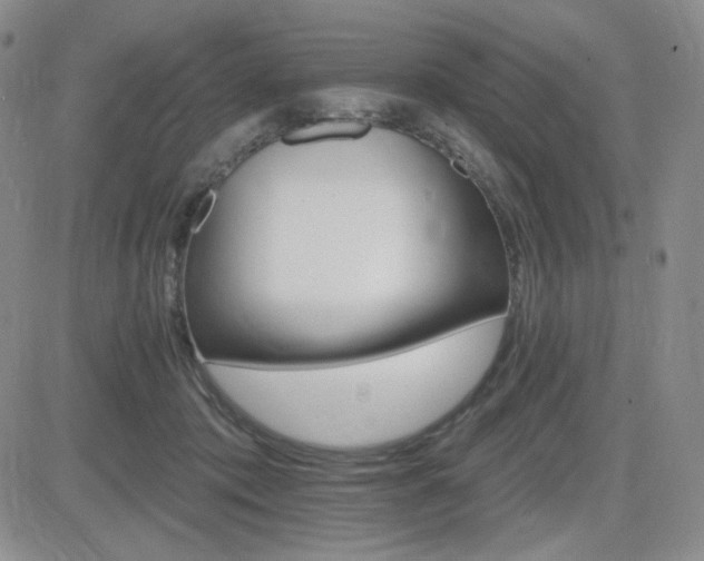 X0000084520413200702231140