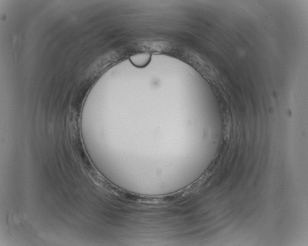 X0000084520414200702231140