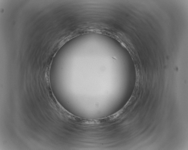 X0000084520415200702231140