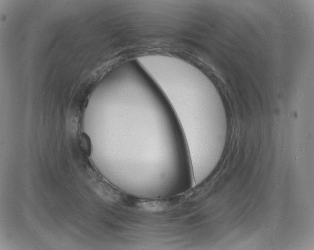 X0000084520417200702231139