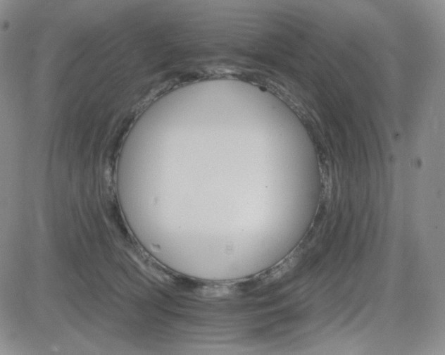 X0000084520418200702231139