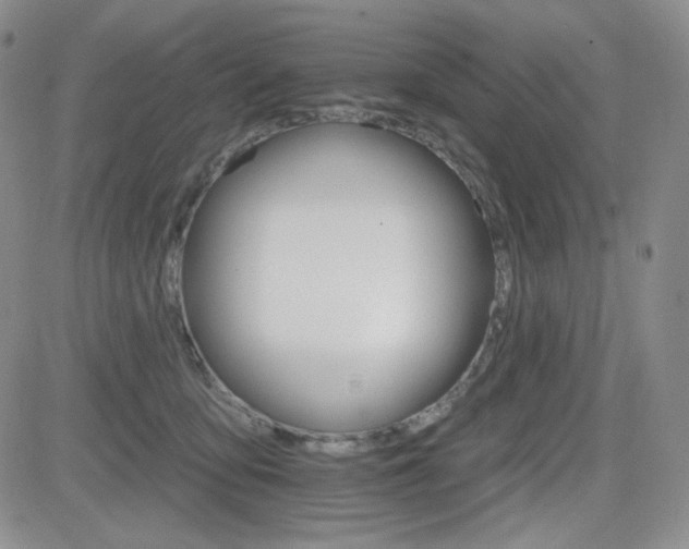 X0000084520419200702231139