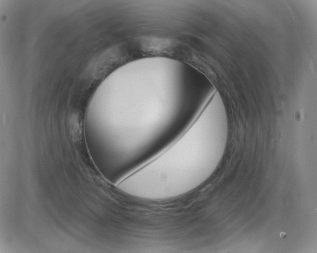 X0000084520420200702231139