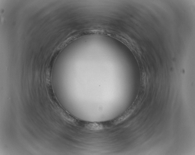 X0000084520421200702231139