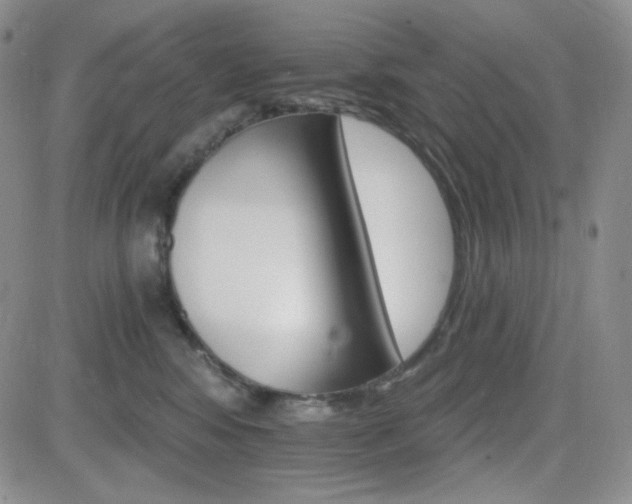 X0000084520424200702231139