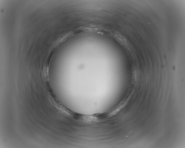 X0000084520429200702231139