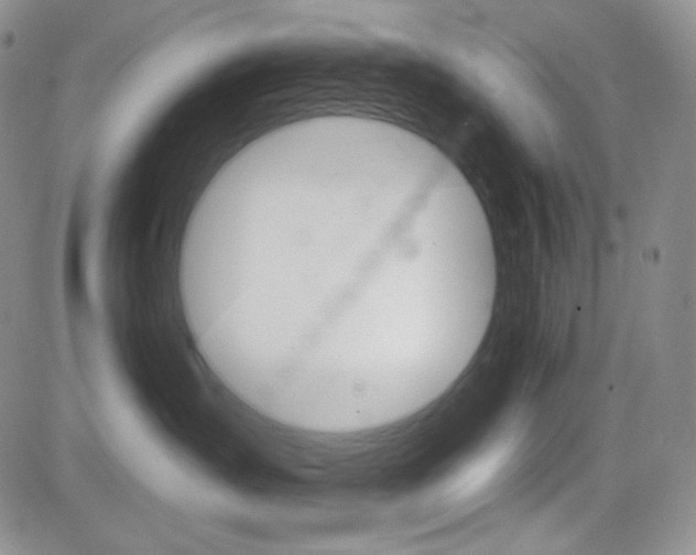 X0000084520431200702231139