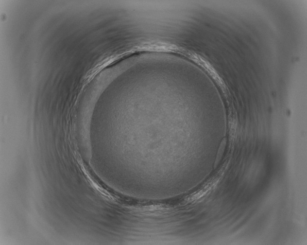 X0000084520433200702231138