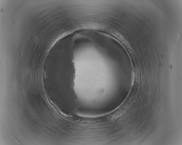 X0000084520434200702231138