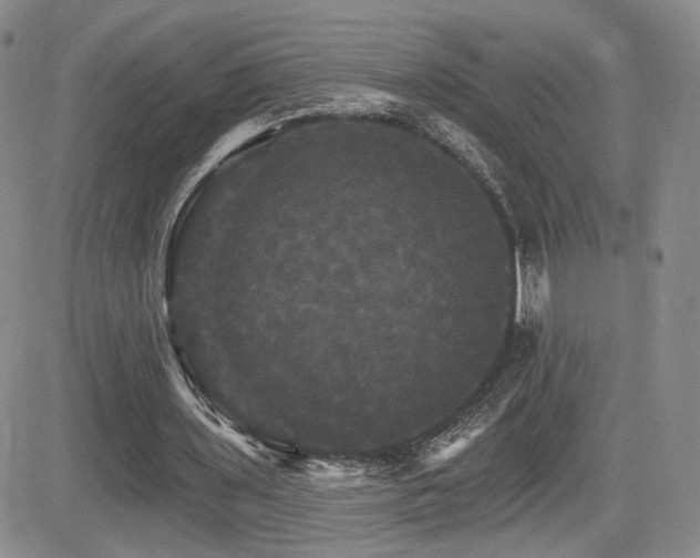 X0000084520435200702231138