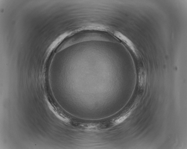 X0000084520436200702231138