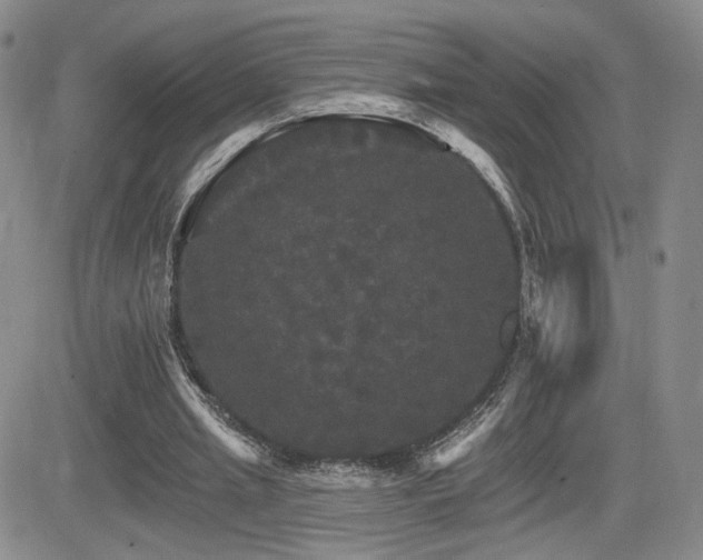 X0000084520437200702231138