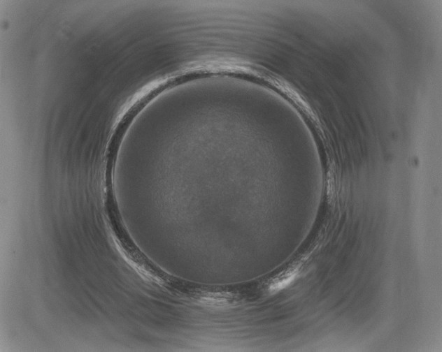 X0000084520438200702231138