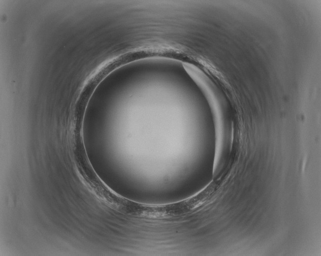 X0000084520440200702231139