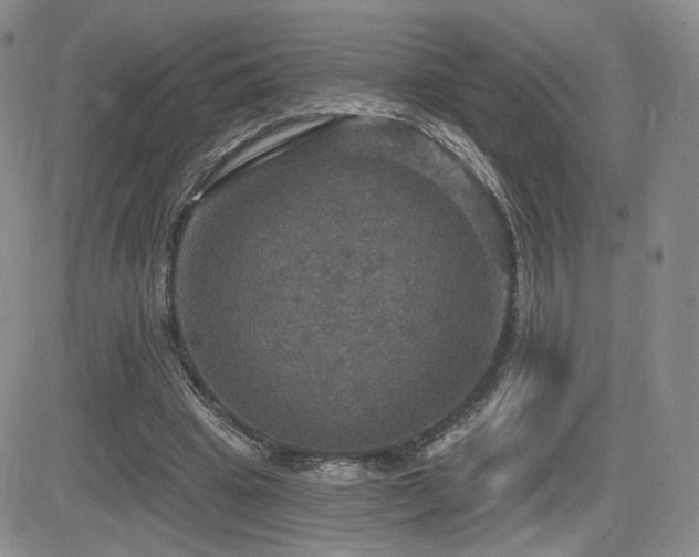 X0000084520441200702231139